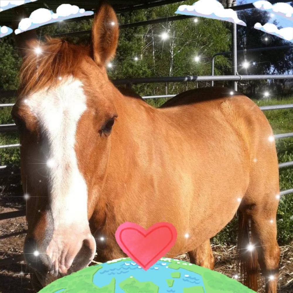 Meet your Posher, Libi